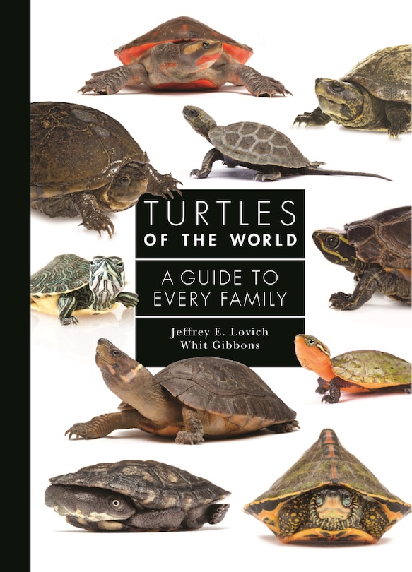 Couverture_Turtles Of The World
