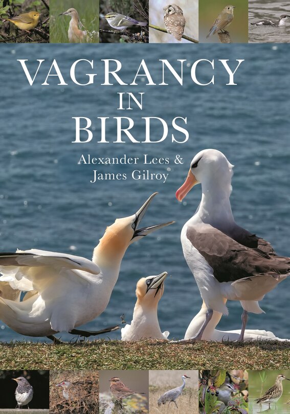 Front cover_Vagrancy In Birds