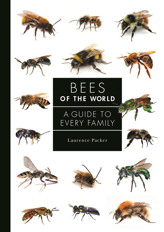 Couverture_Bees of the World