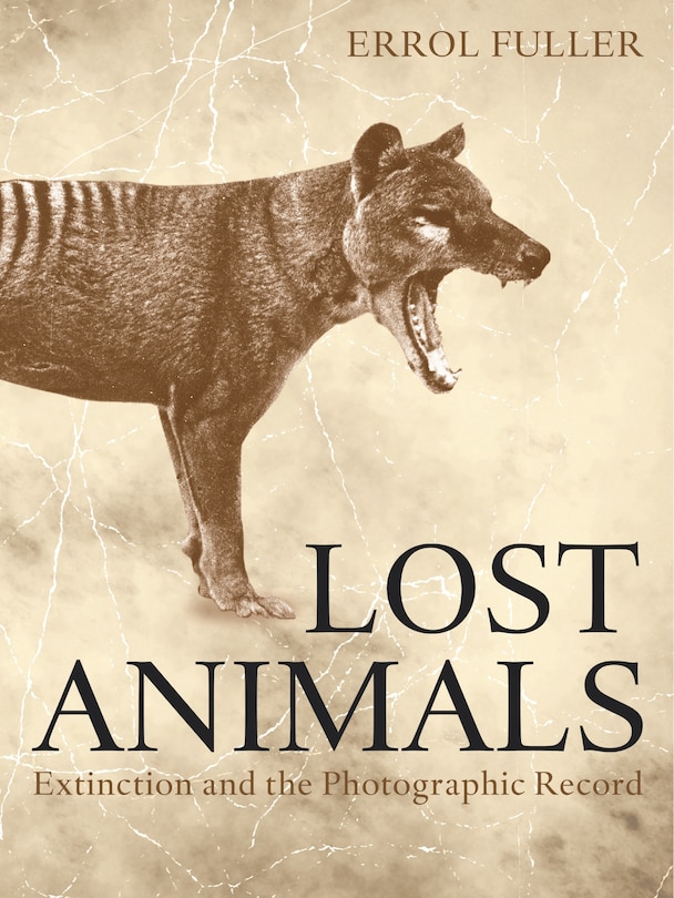 Couverture_Lost Animals