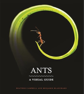 Front cover_Ants