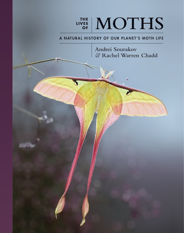 Front cover_The Lives Of Moths