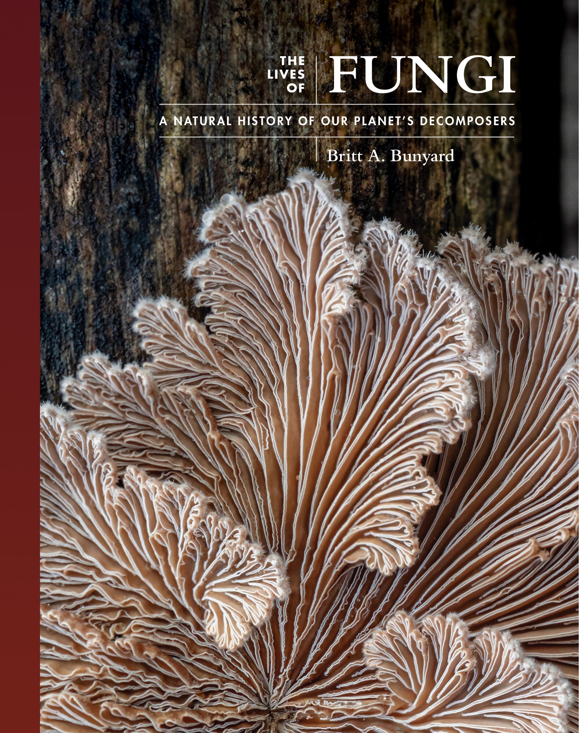 The Lives Of Fungi: A Natural History Of Our Planet's Decomposers