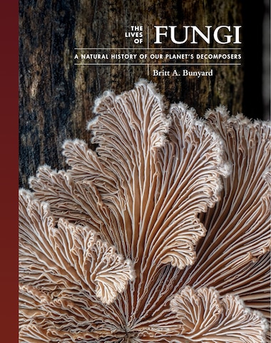 The Lives Of Fungi: A Natural History Of Our Planet's Decomposers