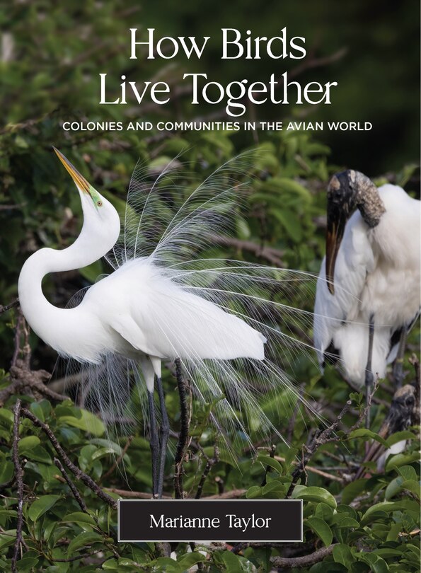 Front cover_How Birds Live Together