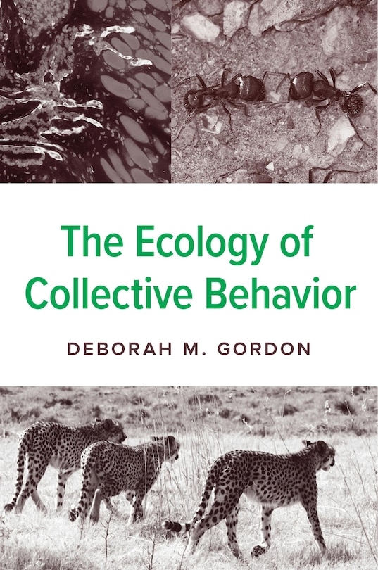 Couverture_The Ecology of Collective Behavior