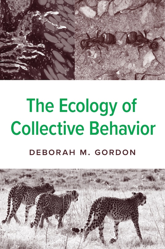 Front cover_The Ecology of Collective Behavior