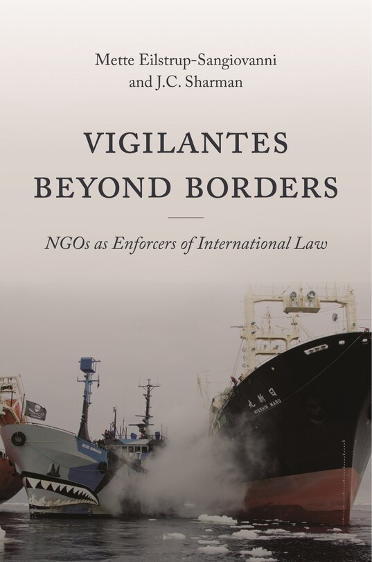 Front cover_Vigilantes Beyond Borders