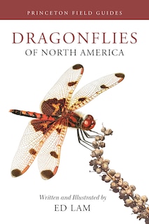 Front cover_Dragonflies of North America