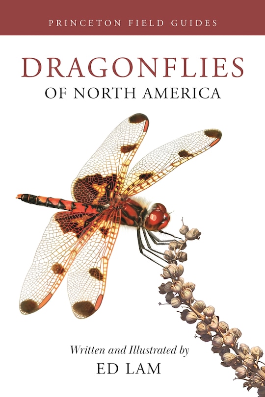 Front cover_Dragonflies of North America