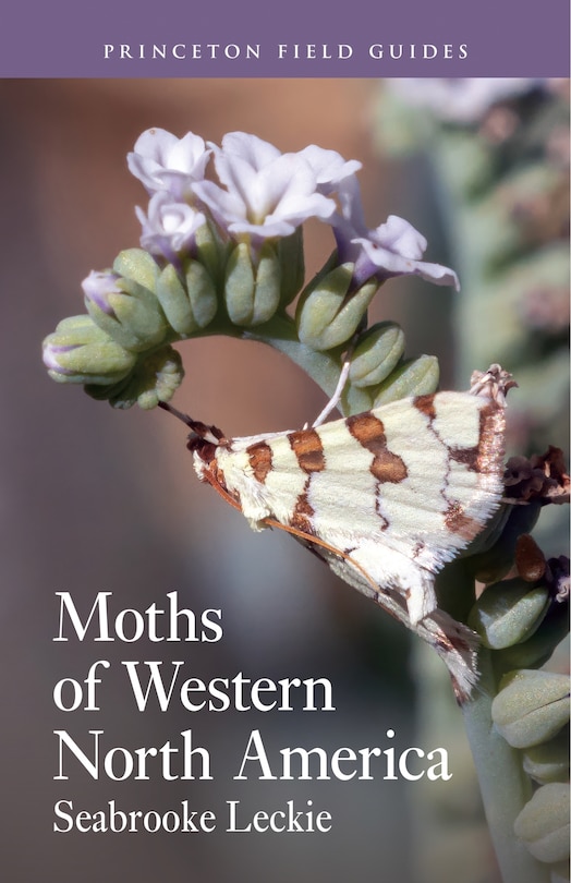 Couverture_Moths of Western North America