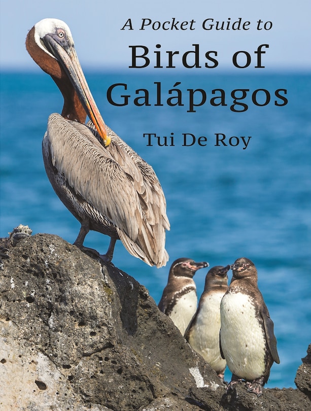Front cover_A Pocket Guide To Birds Of Galápagos