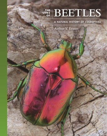 The Lives of Beetles: A Natural History of Coleoptera