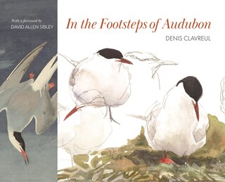 Front cover_In The Footsteps Of Audubon