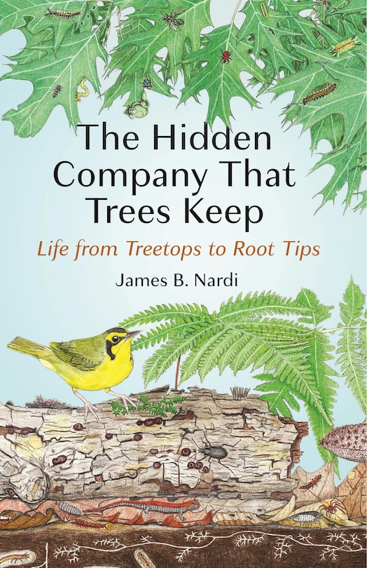 Couverture_The Hidden Company That Trees Keep