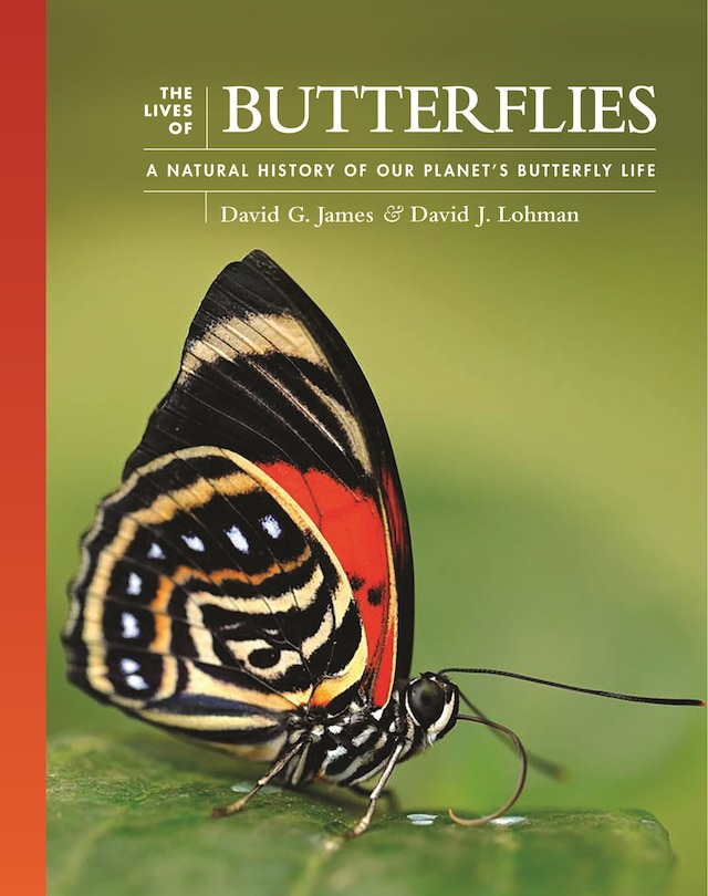 Front cover_The Lives of Butterflies
