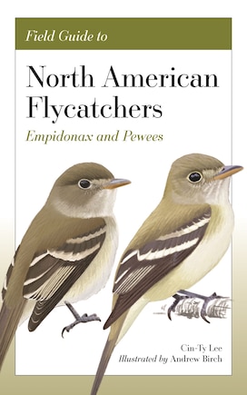 Field Guide to North American Flycatchers: Empidonax and Pewees