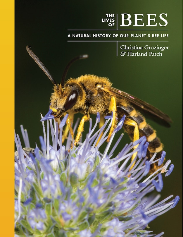 Couverture_The Lives of Bees