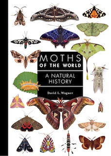 Front cover_Moths of the World