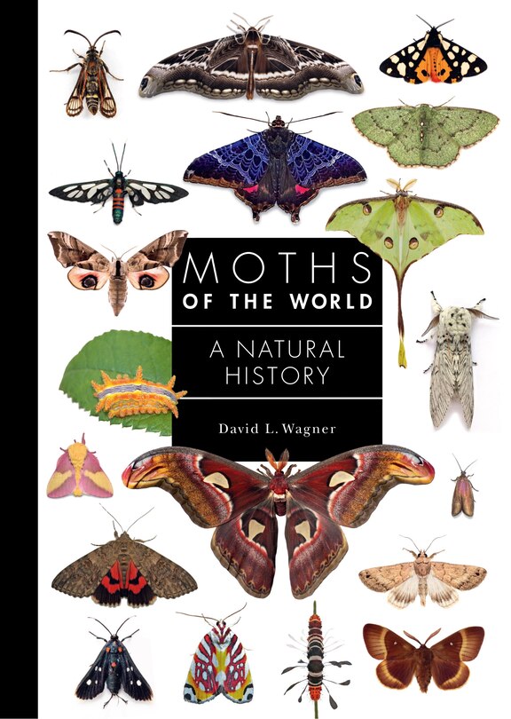 Front cover_Moths of the World