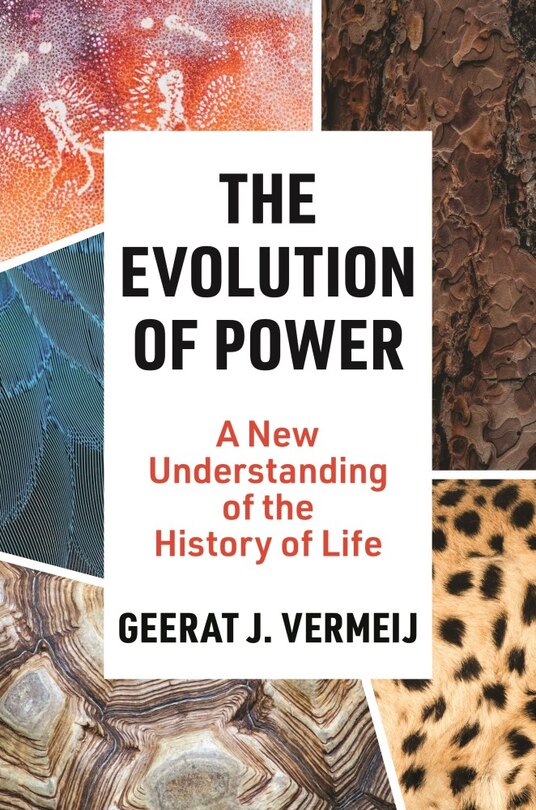 Couverture_The Evolution of Power