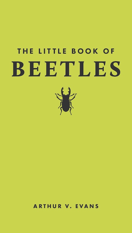 Front cover_The Little Book of Beetles