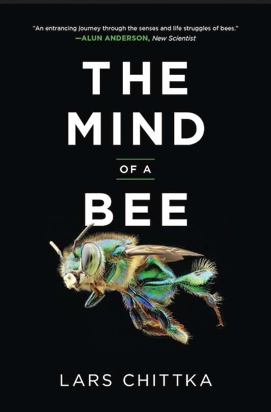 Front cover_The Mind of a Bee