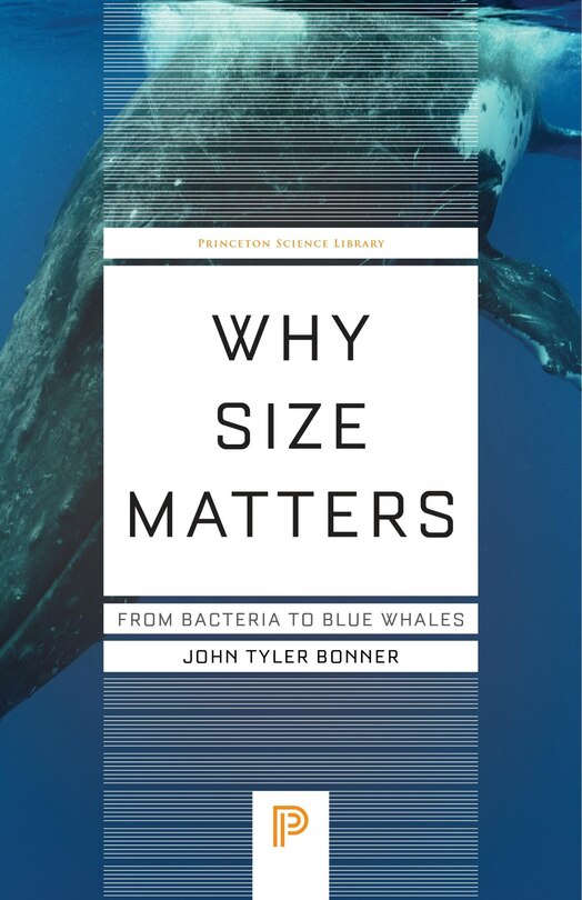 Couverture_Why Size Matters