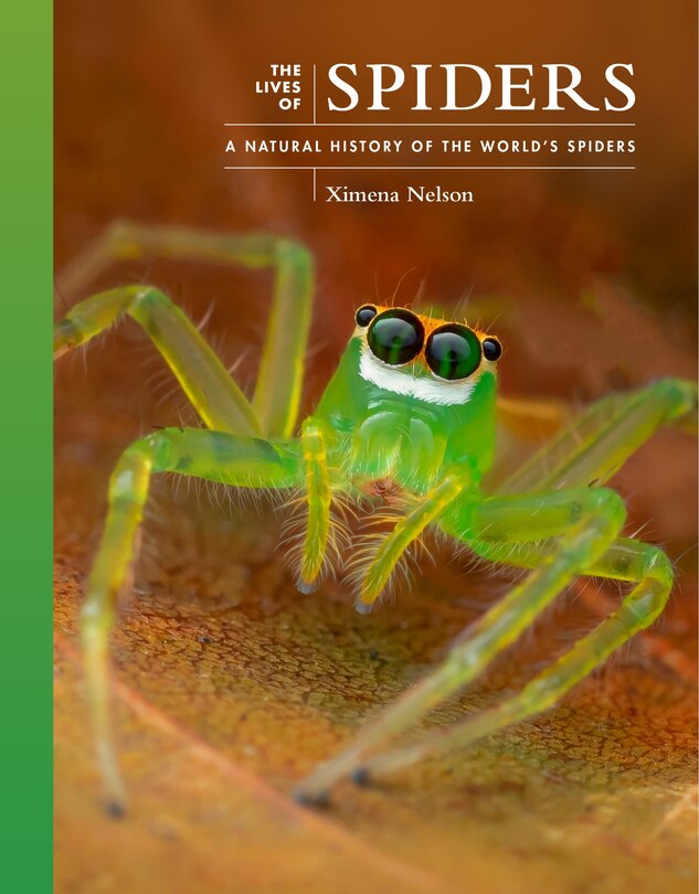 Front cover_The Lives of Spiders