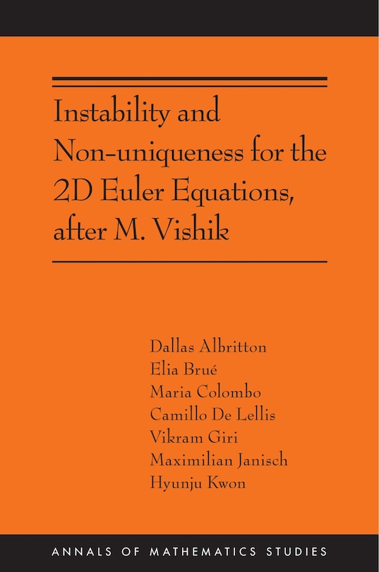 Couverture_Instability and Non-uniqueness for the 2D Euler Equations, after M. Vishik