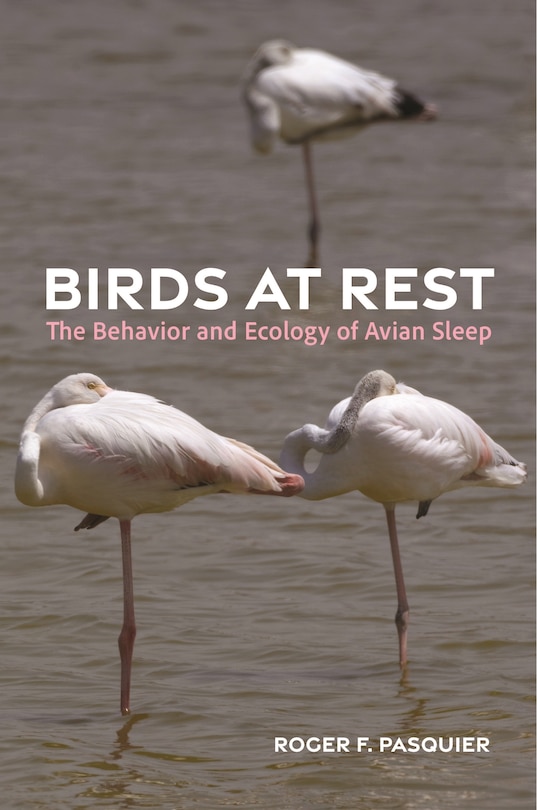 Front cover_Birds at Rest