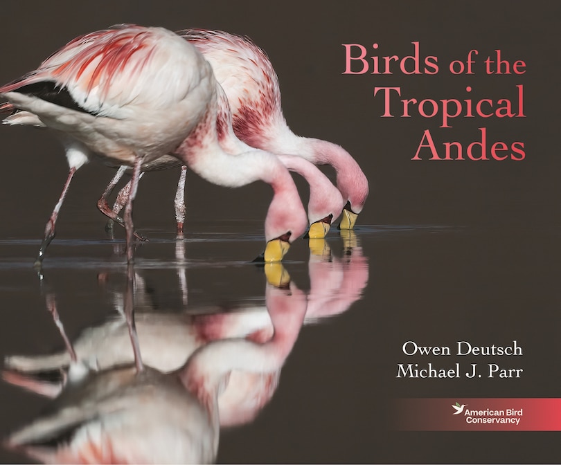 Front cover_Birds of the Tropical Andes