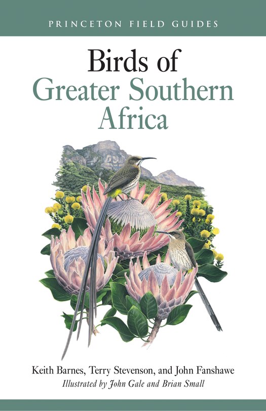 Front cover_Birds of Greater Southern Africa