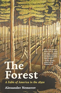 Couverture_The Forest