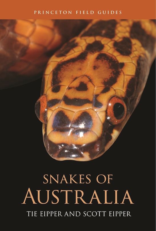 Couverture_Snakes of Australia