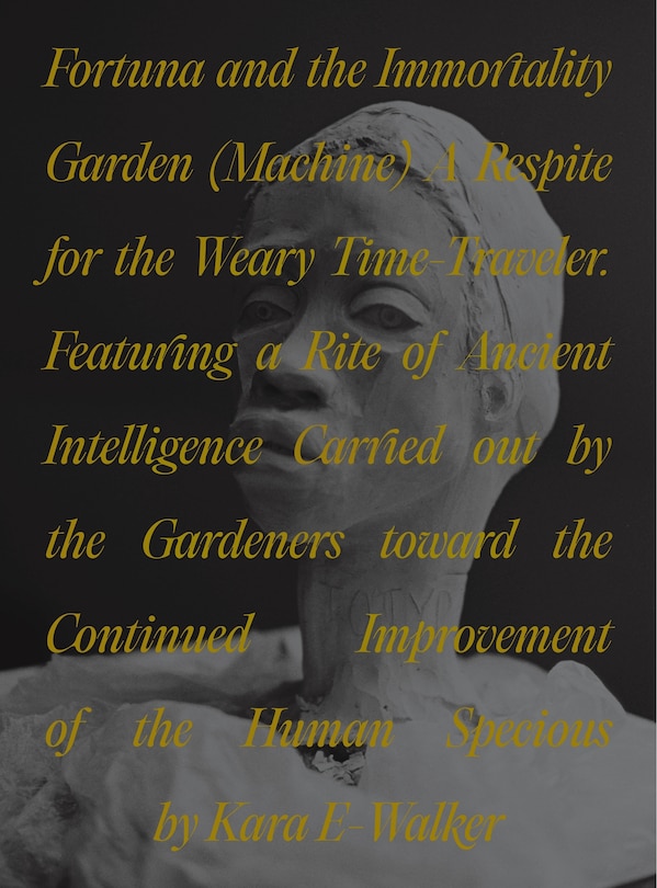 Couverture_Fortuna and the Immortality Garden (Machine)