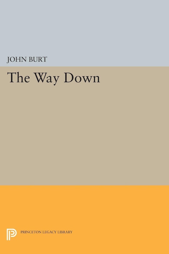 Couverture_The Way Down
