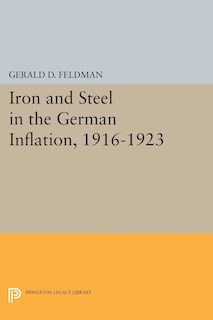 Front cover_Iron and Steel in the German Inflation, 1916-1923