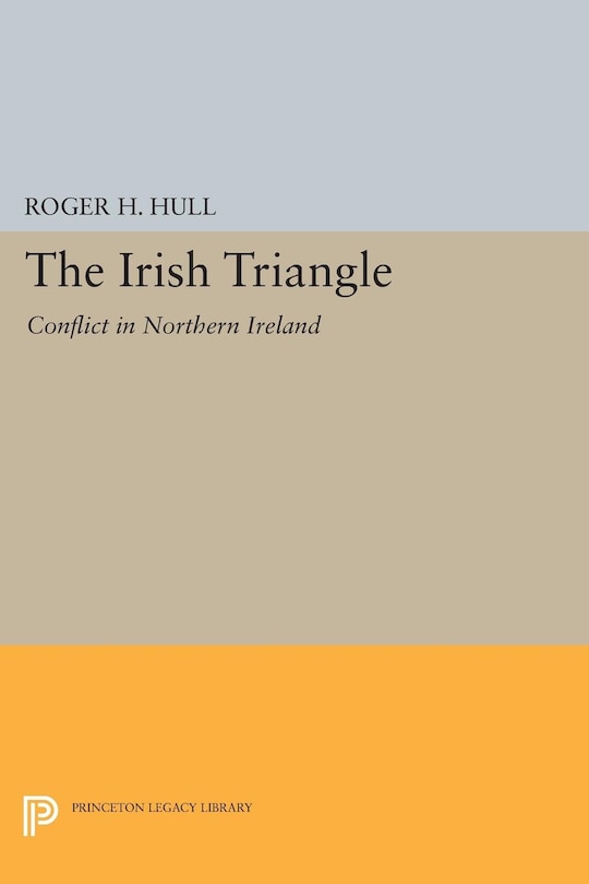 Couverture_The Irish Triangle