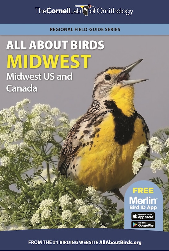 Front cover_All About Birds Midwest