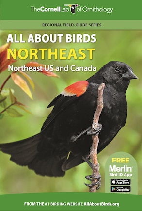 All About Birds Northeast: Northeast Us And Canada