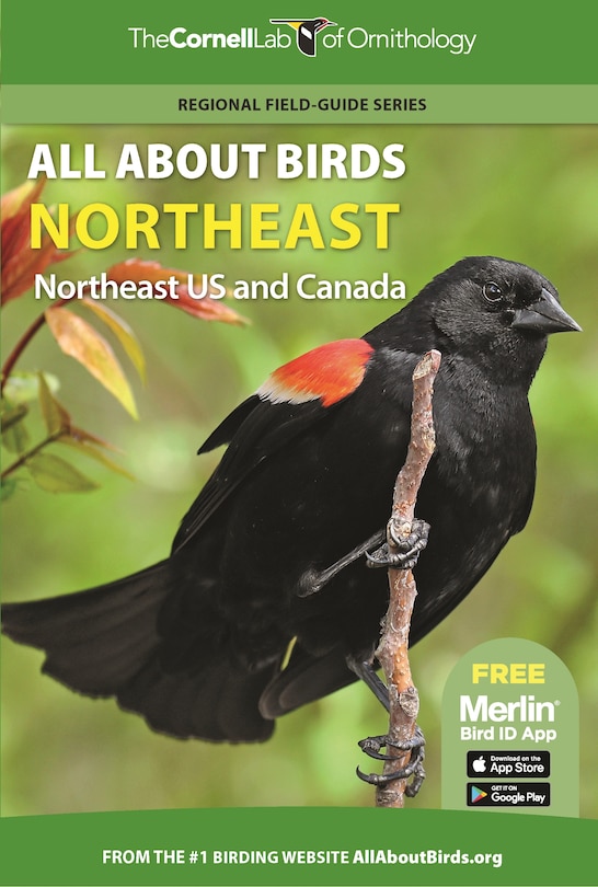 Front cover_All About Birds Northeast