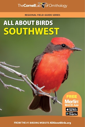 All About Birds Southwest