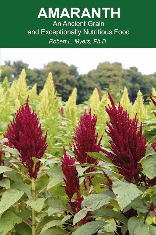 Front cover_Amaranth