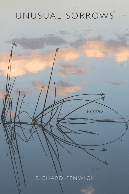 Front cover_Unusual Sorrows