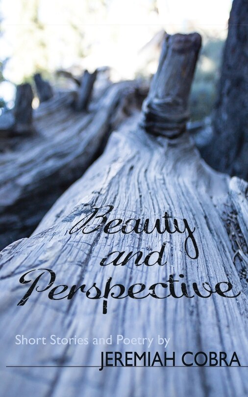 Front cover_Beauty and Perspective