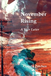 November Rising: A Year Later