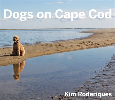 Couverture_Dogs On Cape Cod
