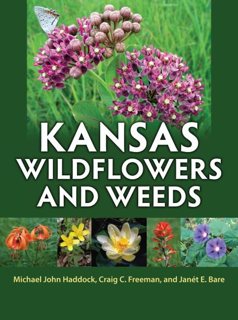 Front cover_Kansas Wildflowers and Weeds