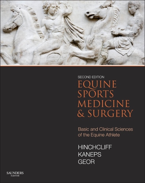 Couverture_Equine Sports Medicine And Surgery